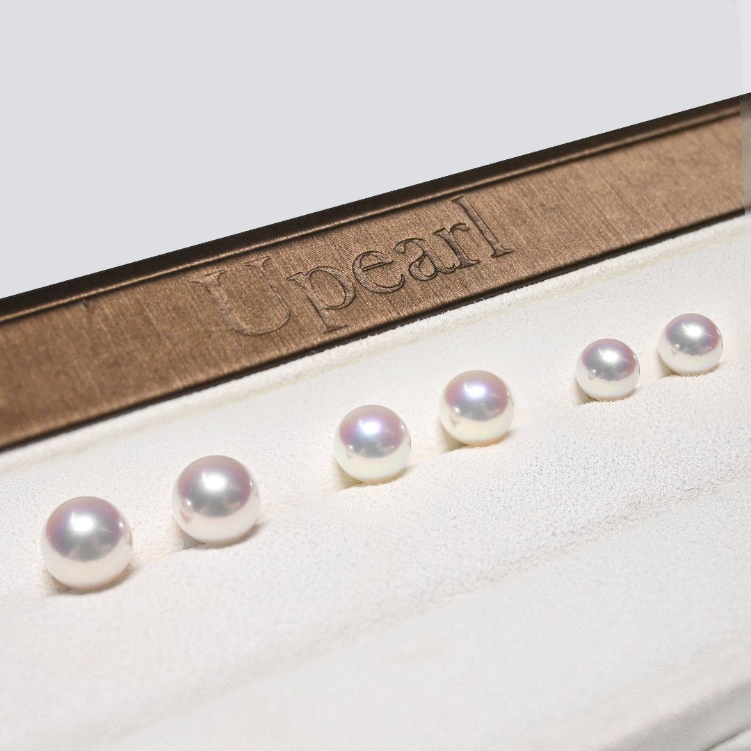 經典珍珠耳環 Classic Akoya Pearl Stud Earrings