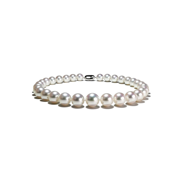 南洋珍珠項鍊 South Sea Pearl Strand
